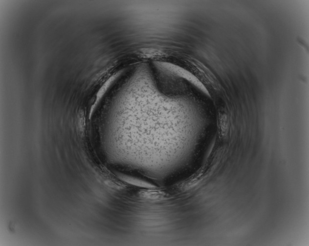 X0000091850372200709261212