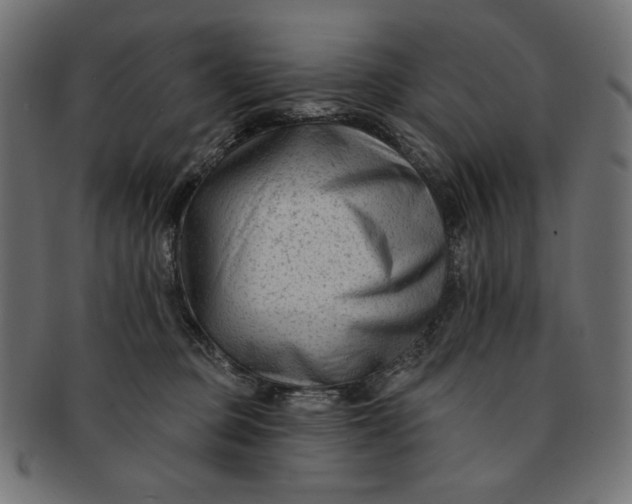 X0000091850373200709261212