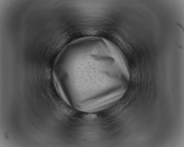 X0000091850374200709261212