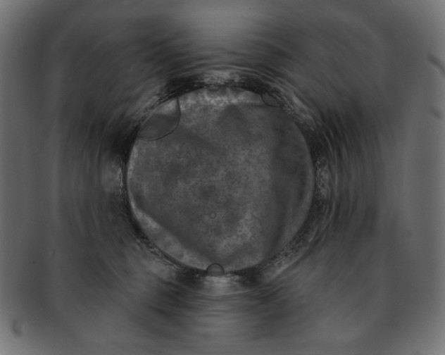 X0000091850375200709261212