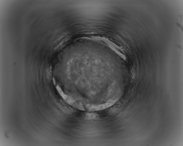 X0000091850376200709261212