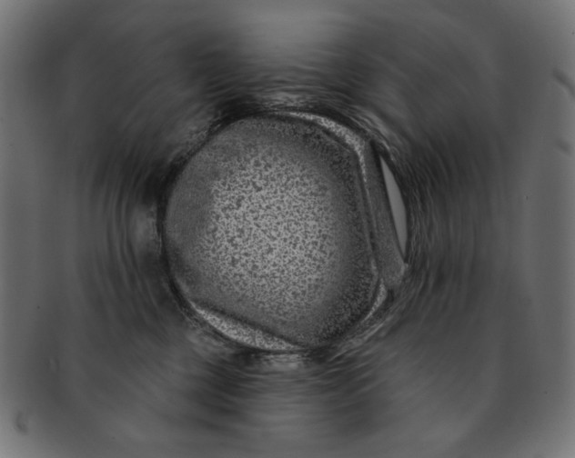 X0000091850377200709261212