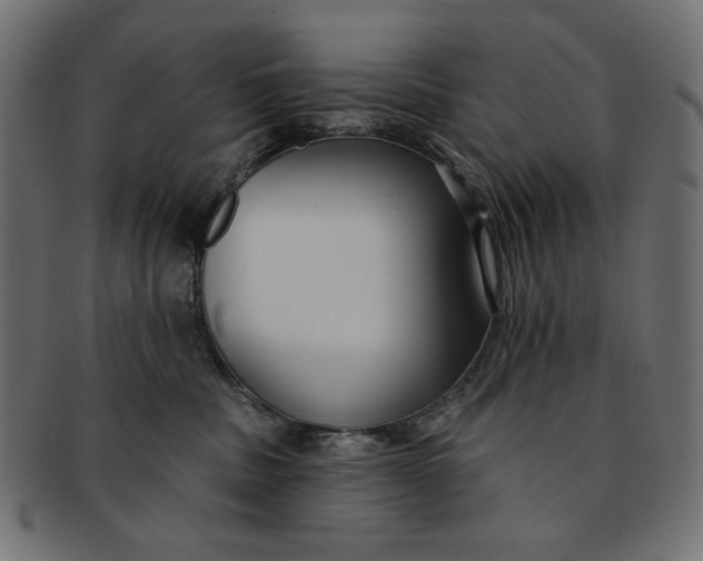 X0000091850379200709261212