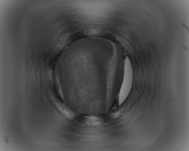 X0000091850380200709261212