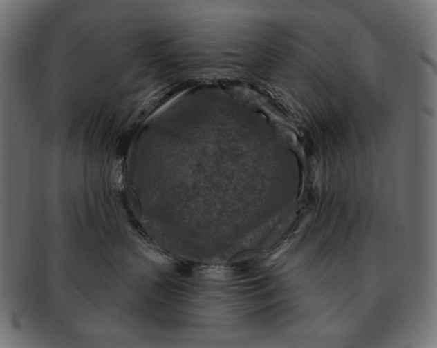 X0000091850383200709261212