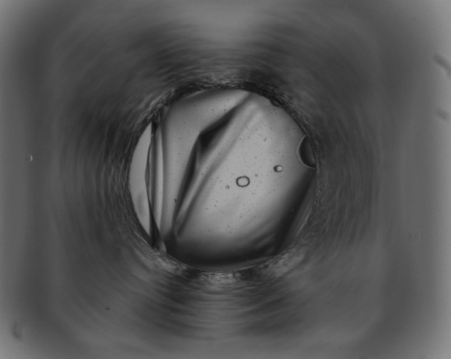 X0000091850384200709261212