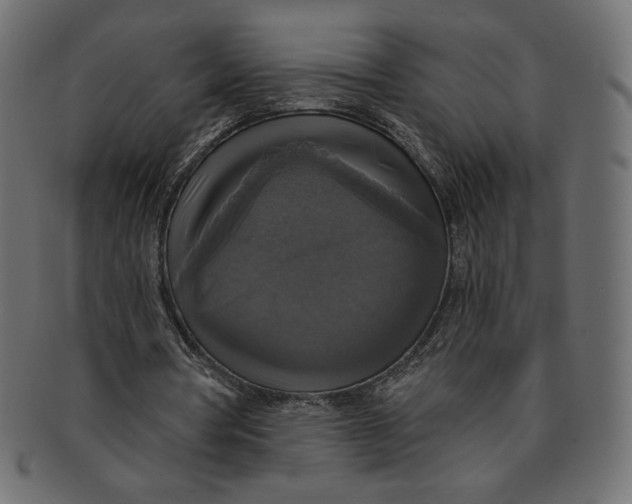 X0000091850386200709261212