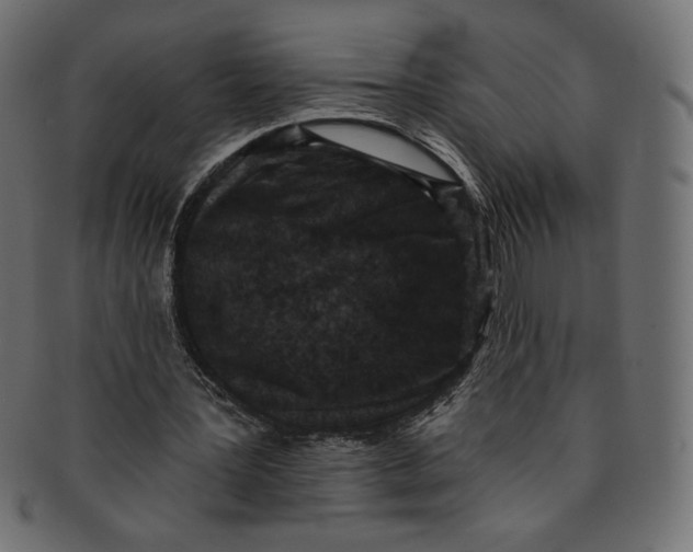 X0000091850387200709261212