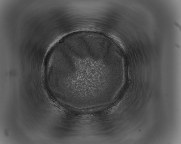 X0000091850388200709261212