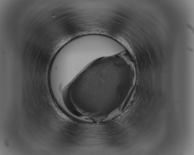 X0000091850389200709261212