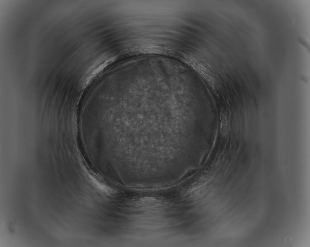 X0000091850390200709261212