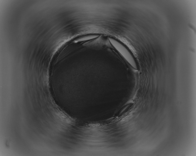 X0000091850391200709261212