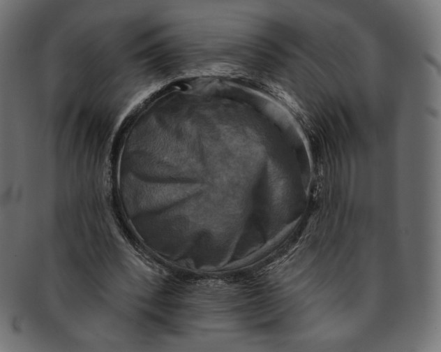 X0000091850392200709261212