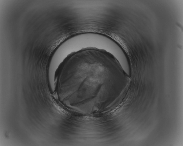 X0000091850393200709261212