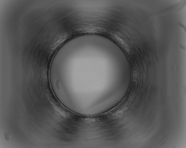 X0000091850394200709261212