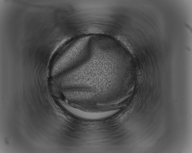 X0000091850395200709261211