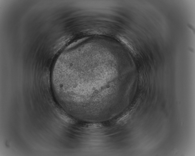 X0000091850398200709261211