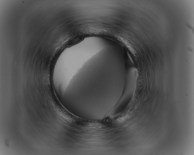 X0000091850399200709261211