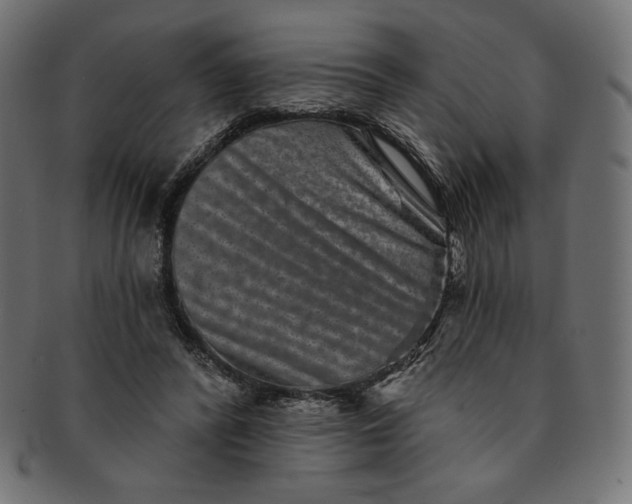 X0000091850400200709261211