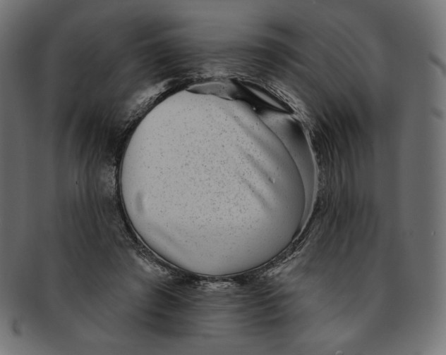 X0000091850401200709261211