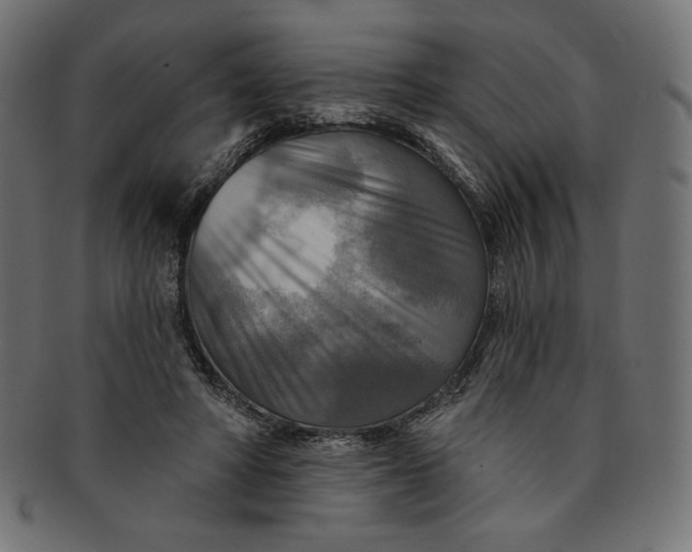 X0000091850402200709261211