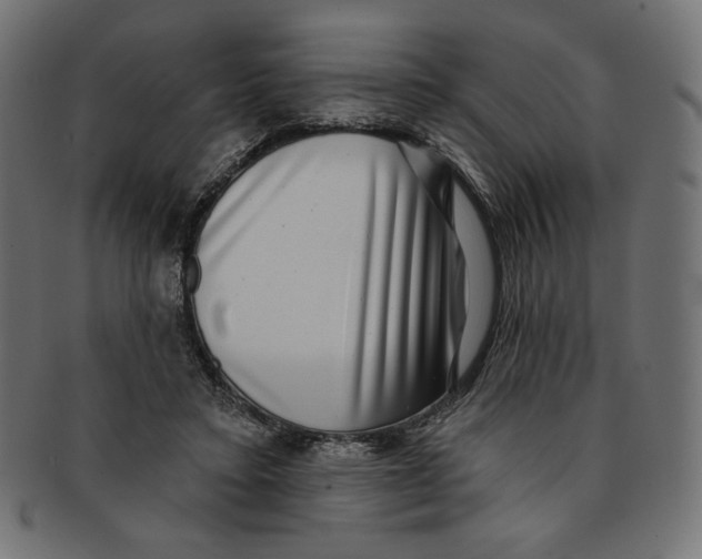 X0000091850403200709261211