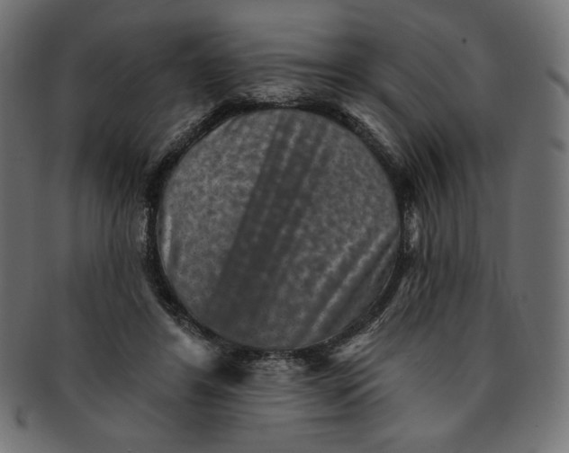 X0000091850404200709261211