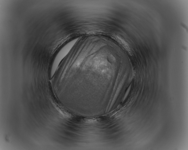 X0000091850405200709261211