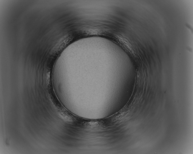 X0000091850406200709261211