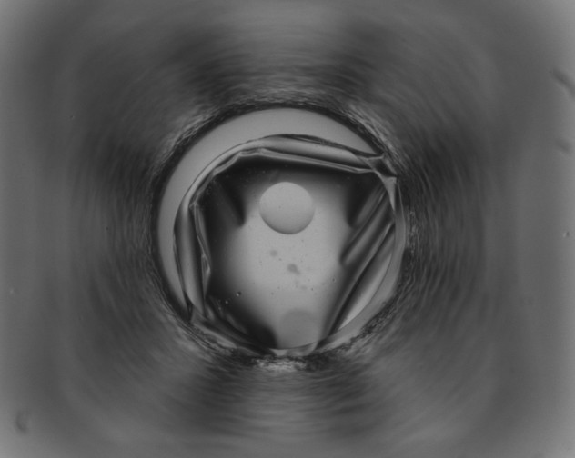 X0000091850407200709261211