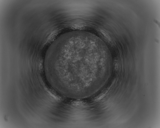 X0000091850408200709261211