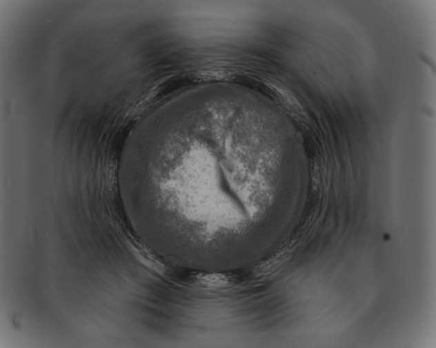 X0000091850409200709261211