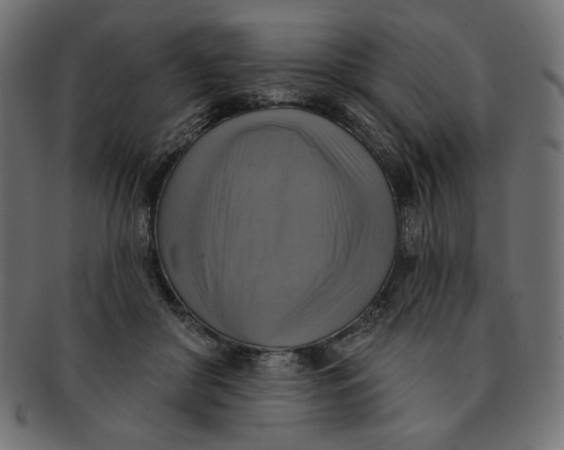 X0000091850410200709261211