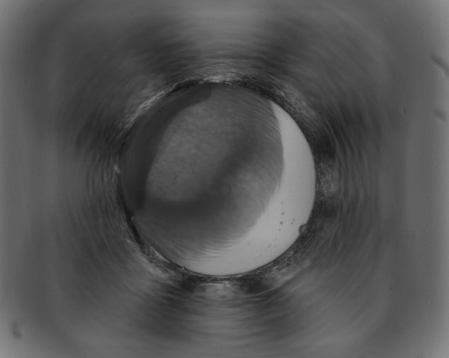 X0000091850411200709261211