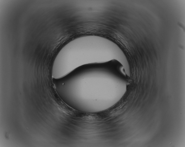 X0000091850412200709261211