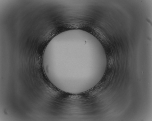 X0000091850414200709261211