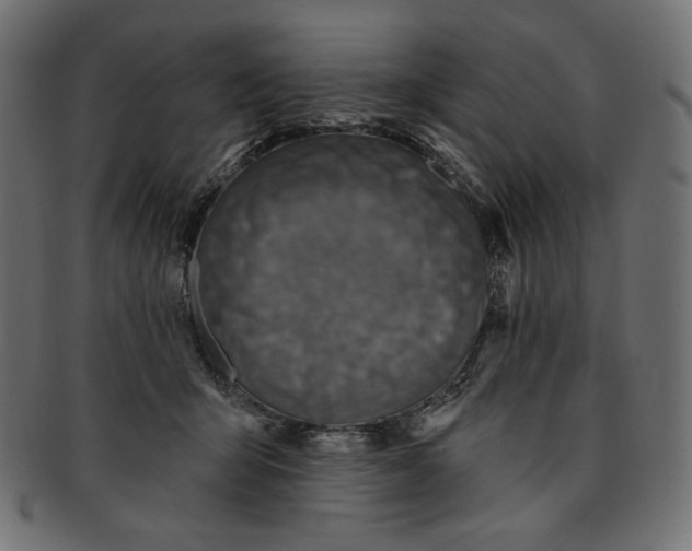 X0000091850415200709261211