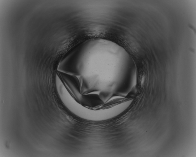 X0000091850416200709261211