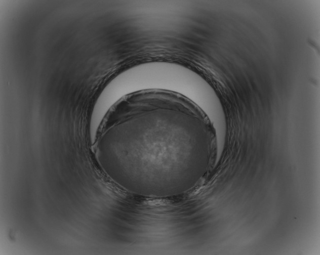 X0000091850417200709261211