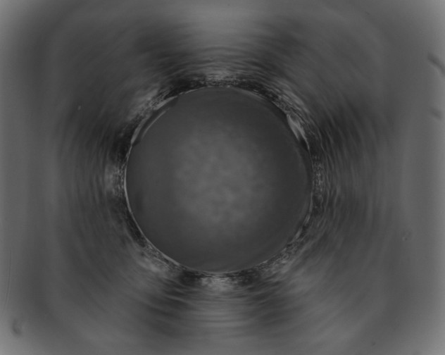 X0000091850419200709261211