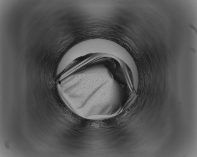 X0000091850420200709261211