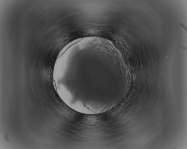 X0000091850423200709261211