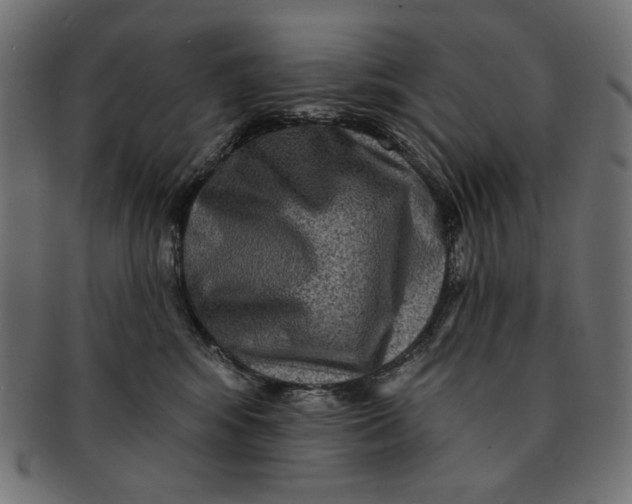 X0000091850424200709261211