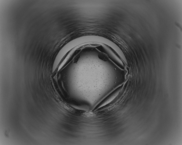 X0000091850425200709261211