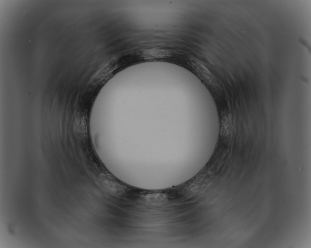 X0000091850426200709261211