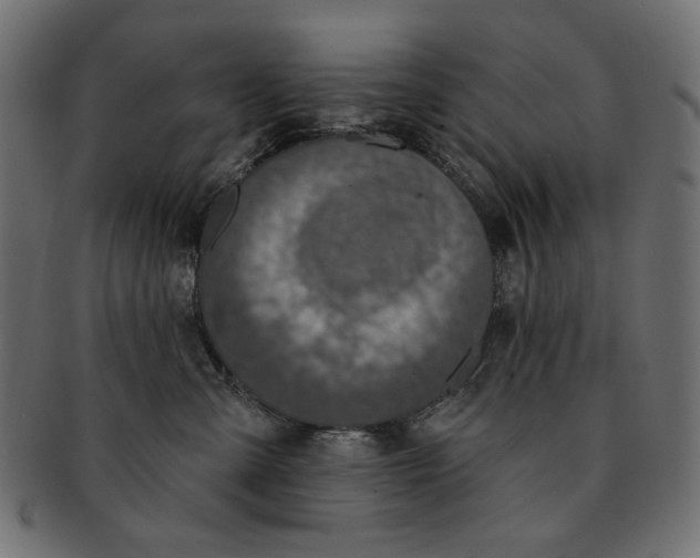 X0000091850427200709261211