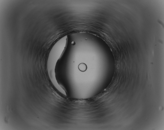 X0000091850428200709261211