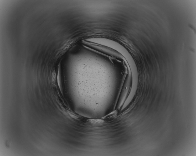 X0000091850429200709261211