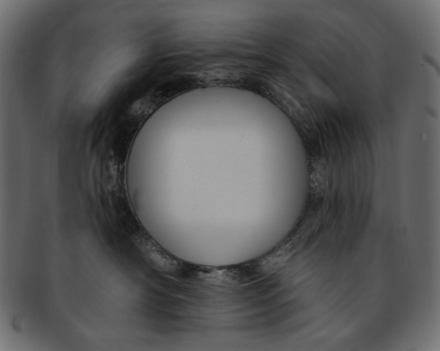 X0000091850430200709261211