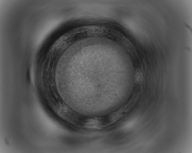 X0000091850431200709261211